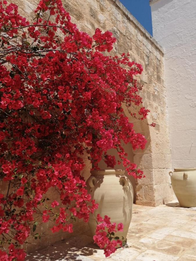 Masserie Maresca Ostuni Kültér fotó