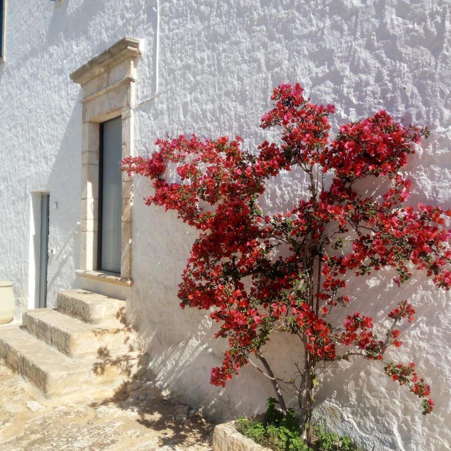 Masserie Maresca Ostuni Kültér fotó
